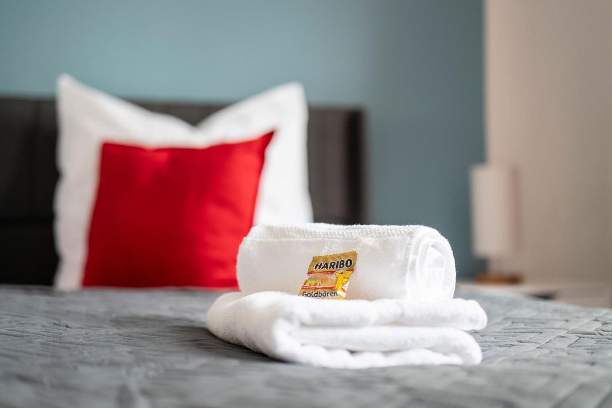 Loh9 - Das Apartment Im Citycenter - Parkplatz - Wlan - Aufzug 开姆尼茨 外观 照片